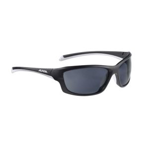 Alpina Dyfer 2018/19 brýle - black matt-white