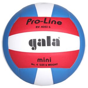 Gala BV4051S Training Mini volejbalový míč POUZE č. 4 (VÝPRODEJ)