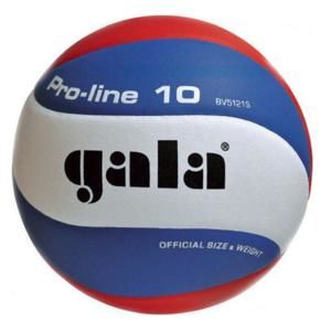 Gala BV5121S CZ Pro-Line volejbalový míč - č. 5