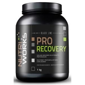 NutriWorks Pro Recovery 1000g - malina